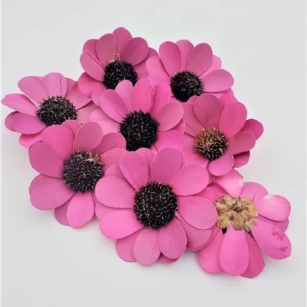 Flori si petale artificiale PF